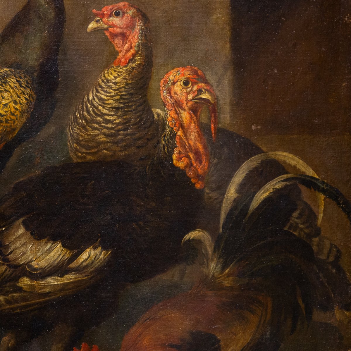 Giovanni Crivelli (detto il Crivellino), "Pavoni, tacchini e galli", olio su tela, Epoca '700-photo-4