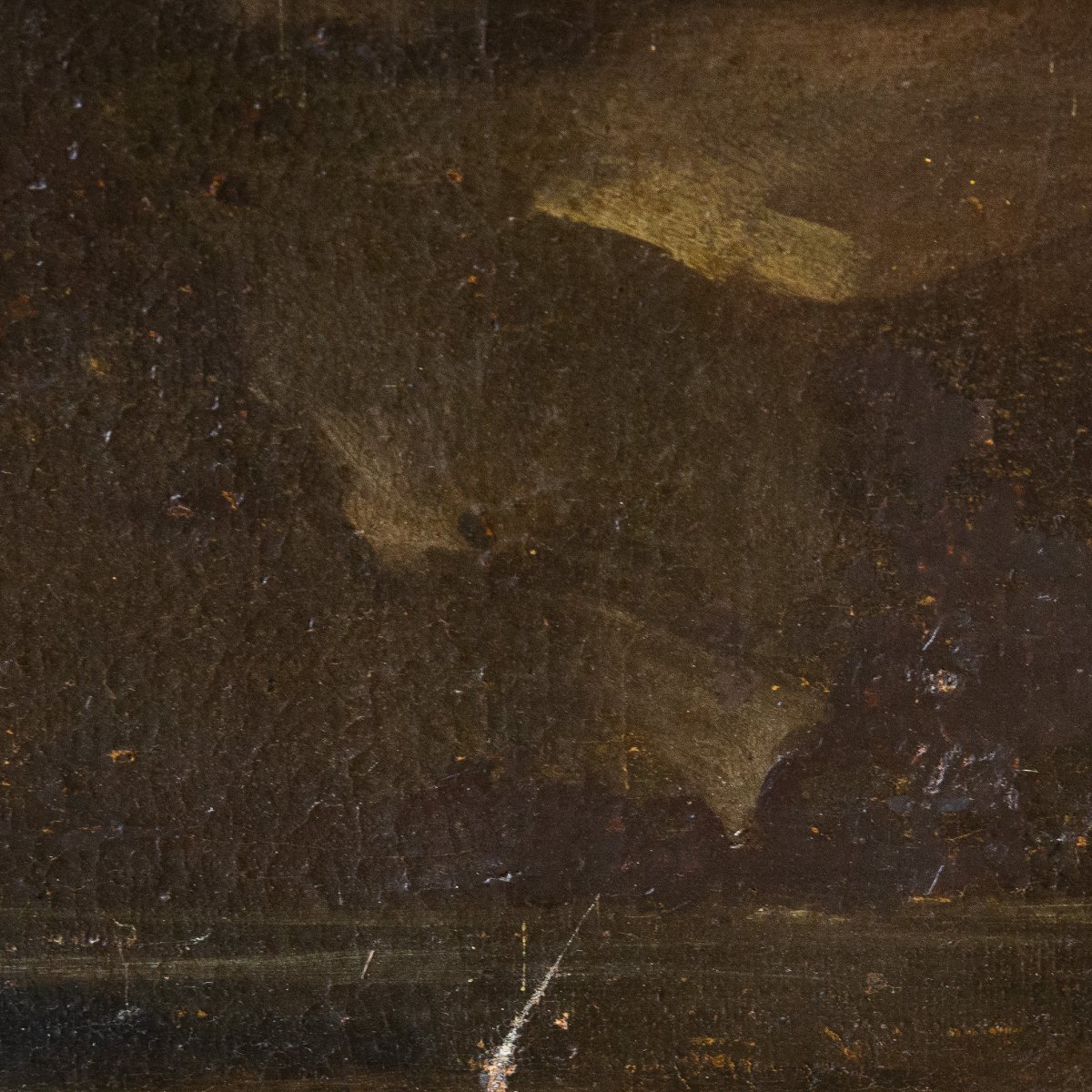 Giovanni Crivelli (detto il Crivellino), "Pavoni, tacchini e galli", olio su tela, Epoca '700-photo-6