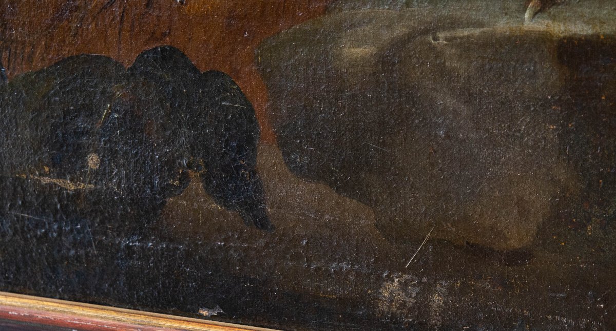 Giovanni Crivelli (detto il Crivellino), "Pavoni, tacchini e galli", olio su tela, Epoca '700-photo-7