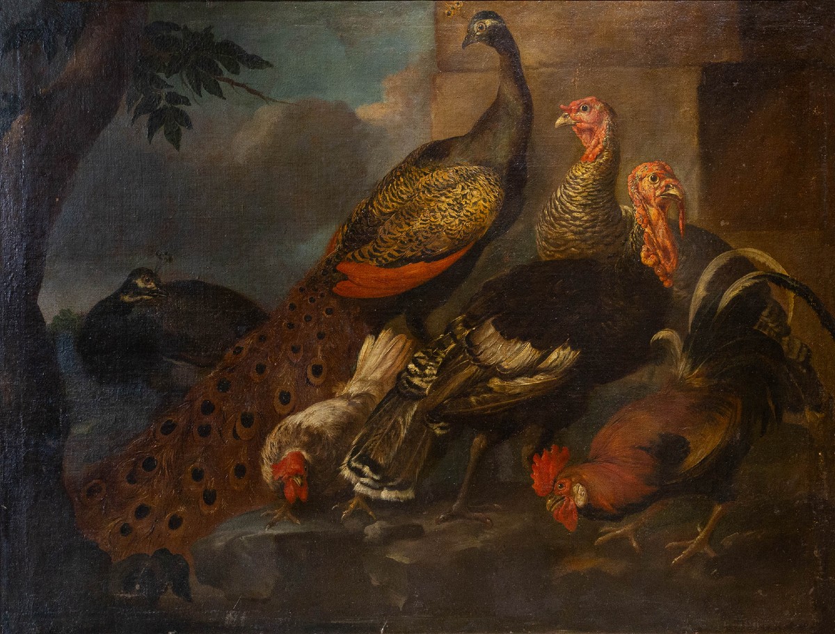 Giovanni Crivelli (detto il Crivellino), "Pavoni, tacchini e galli", olio su tela, Epoca '700