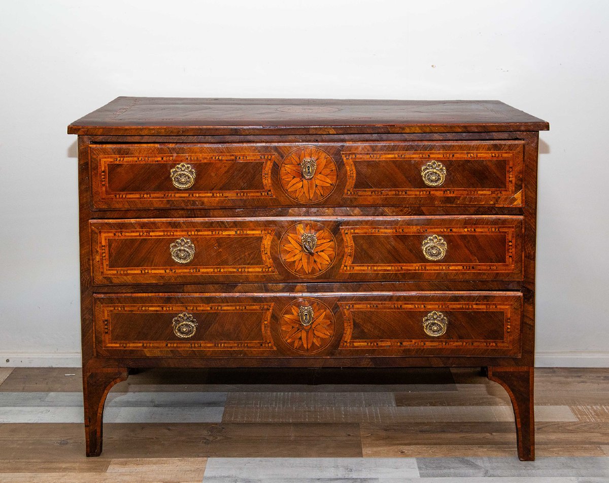 Cassettone piemontese Epoca XVIII secolo – Stile Luigi XVI-photo-1
