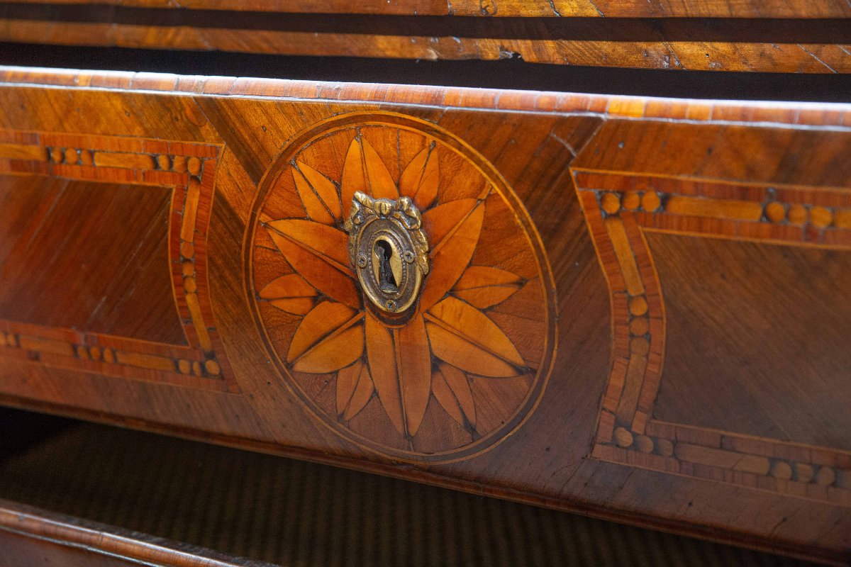 Cassettone piemontese Epoca XVIII secolo – Stile Luigi XVI-photo-6