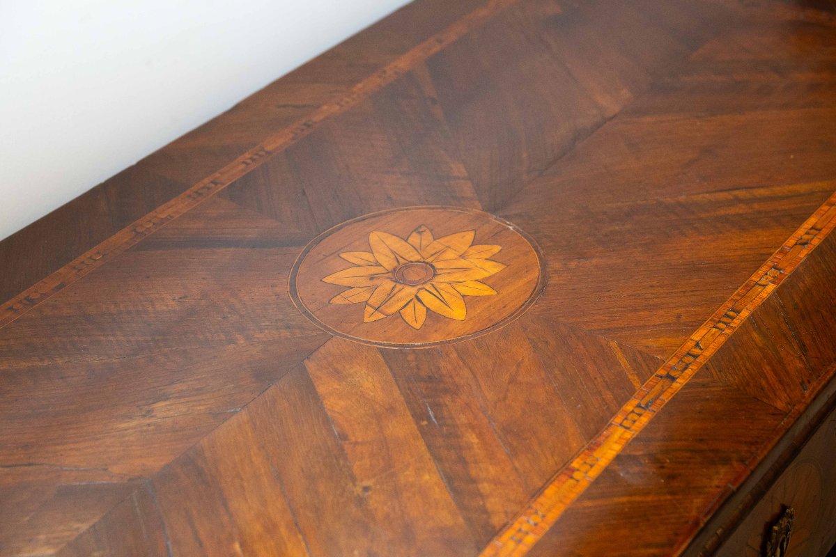 Cassettone piemontese Epoca XVIII secolo – Stile Luigi XVI-photo-8