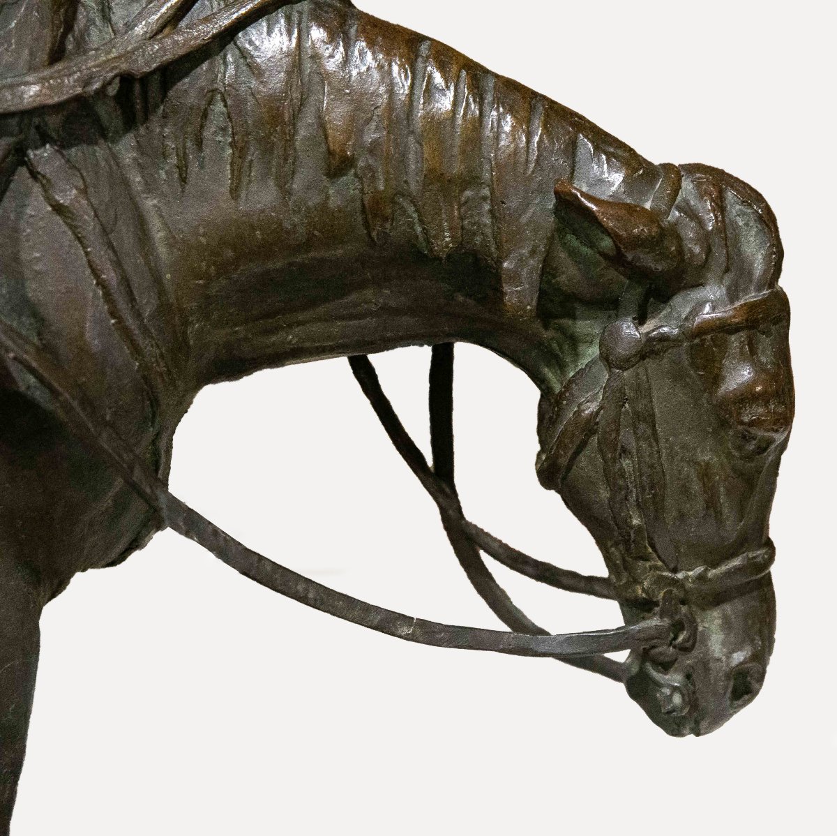 Riccardo Ripamonti, "Cavaliere", firmato, Primi '900-photo-5