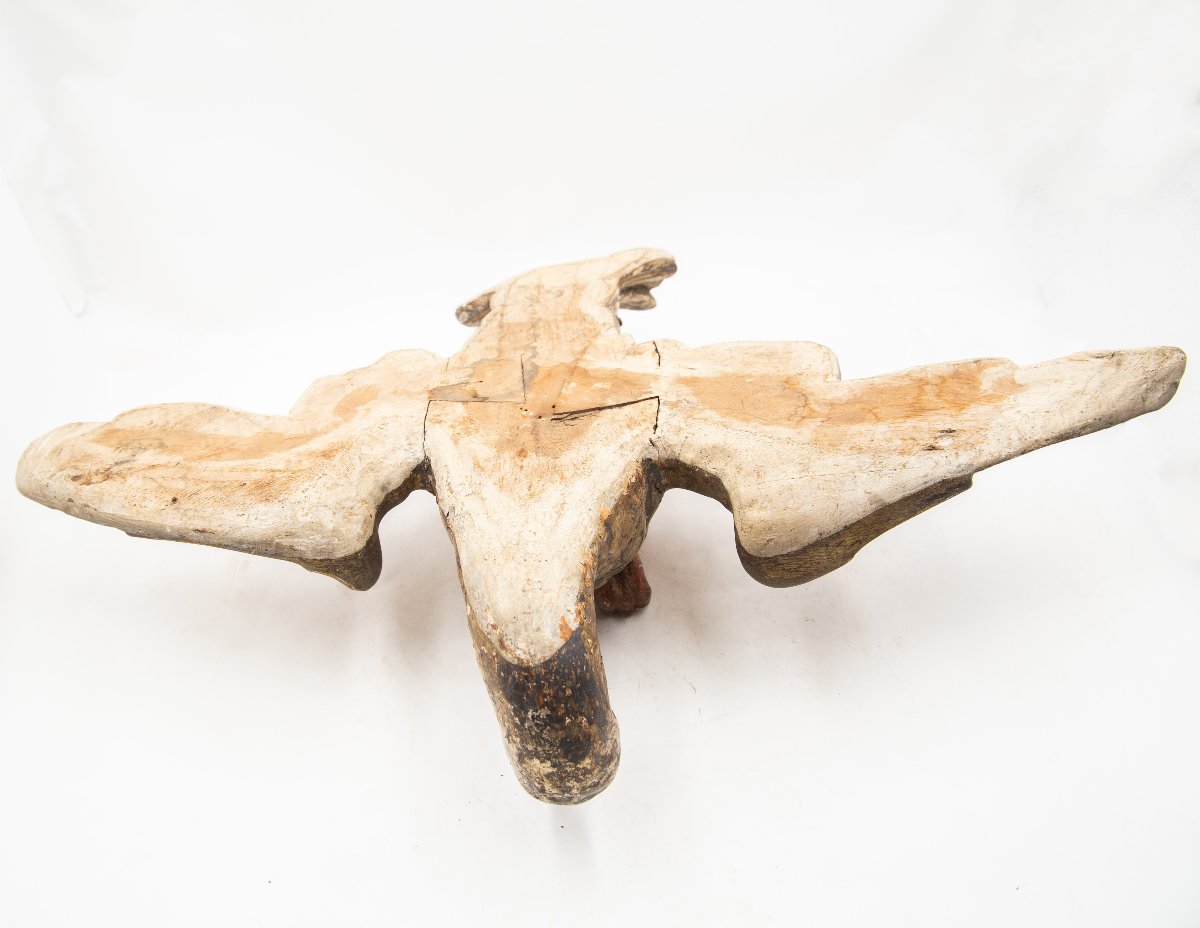 Aquila, scultura lignea laccata, Epoca '600-photo-6