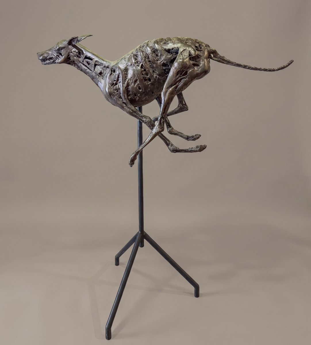 Sebastiano Trovato, "Levriero", in bronzo, firmato, 1975-photo-2