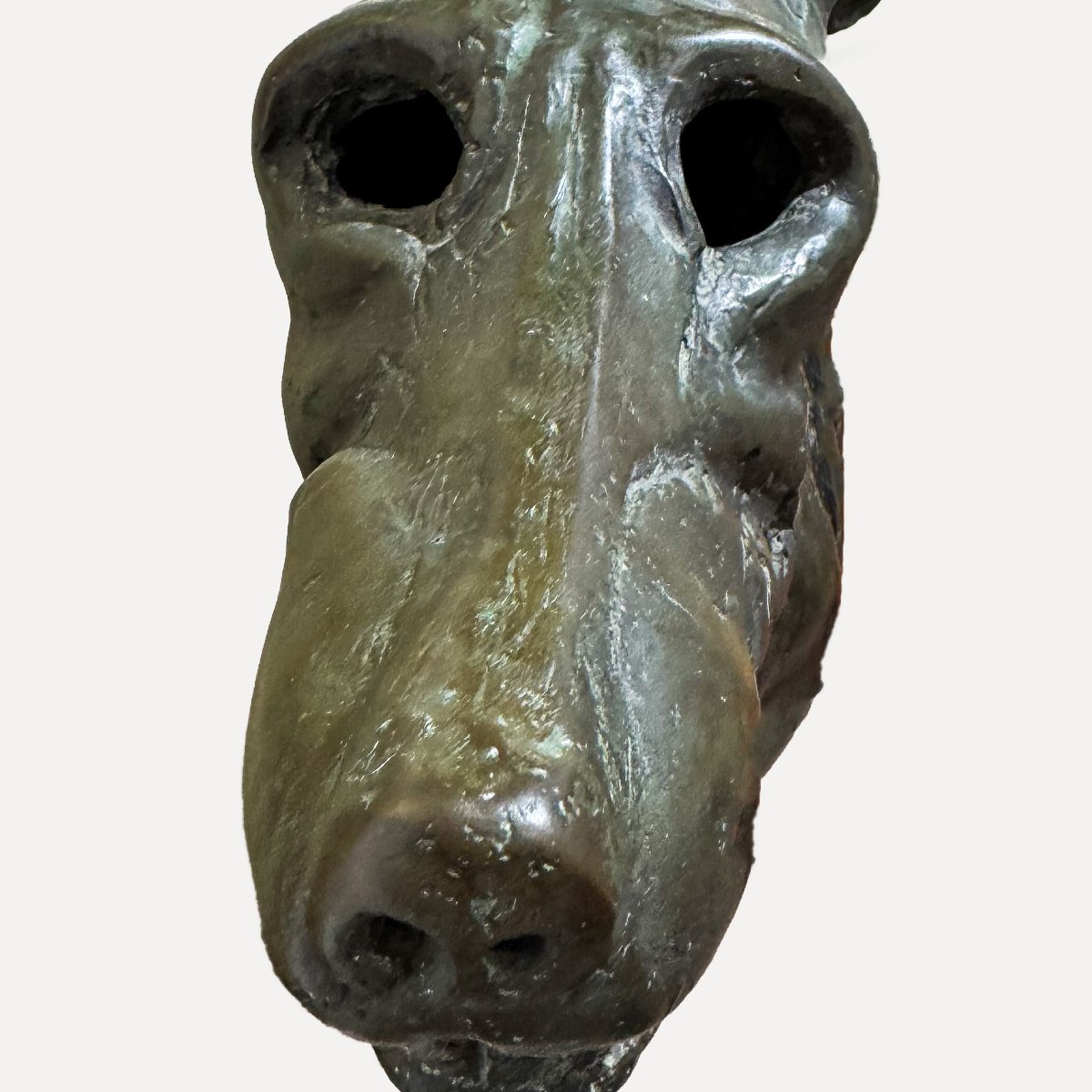 Sebastiano Trovato, "Levriero", in bronzo, firmato, 1975-photo-4