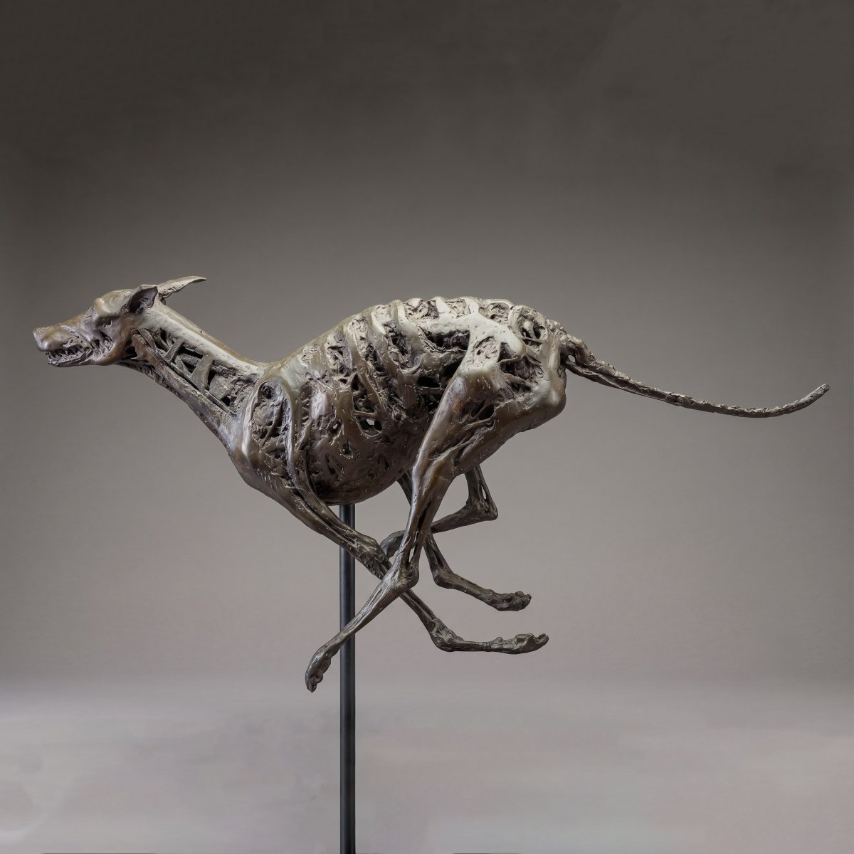 Sebastiano Trovato, "Levriero", in bronzo, firmato, 1975