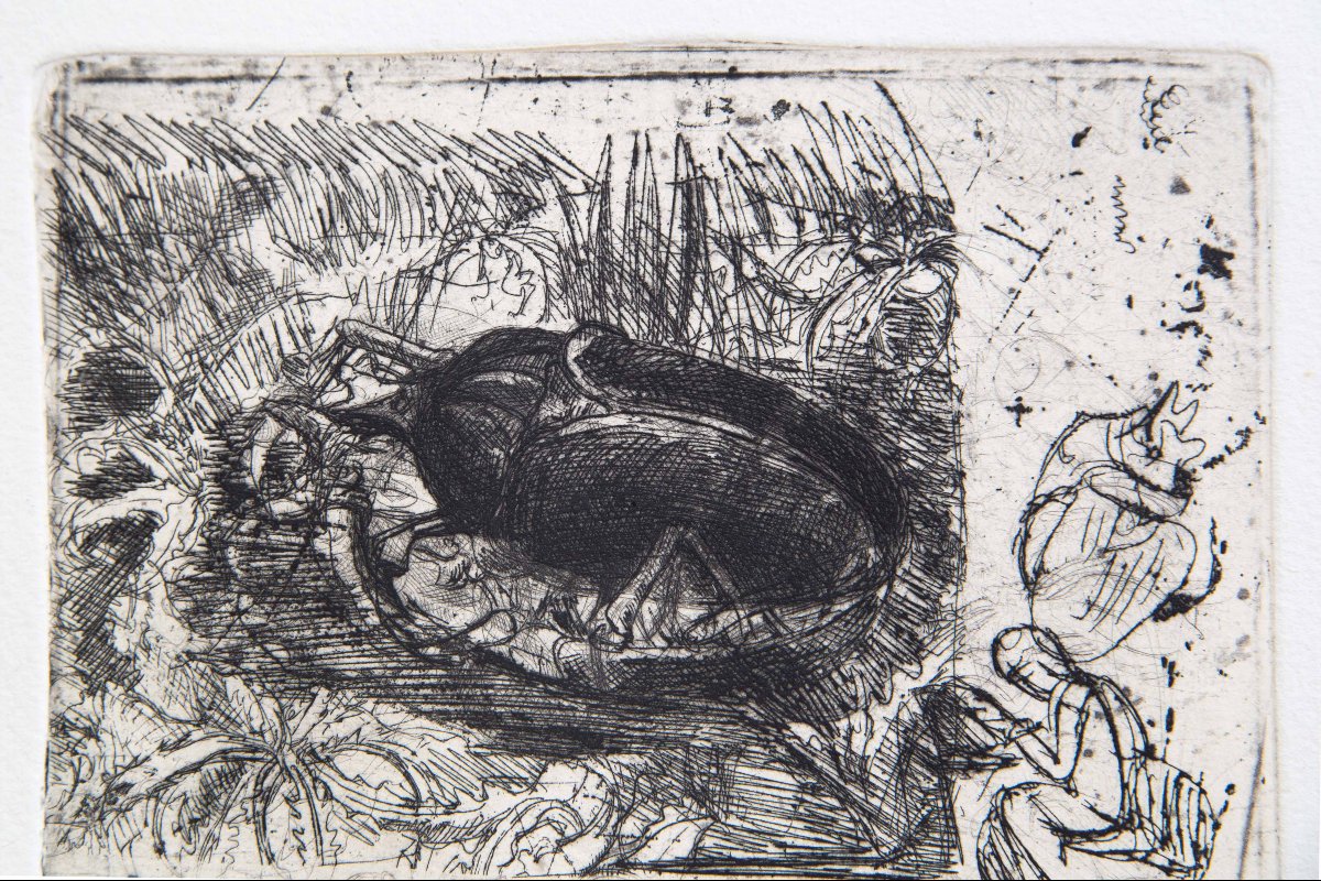 Luigi Bartolini "Scarabeo" acquaforte, Epoca '900-photo-3