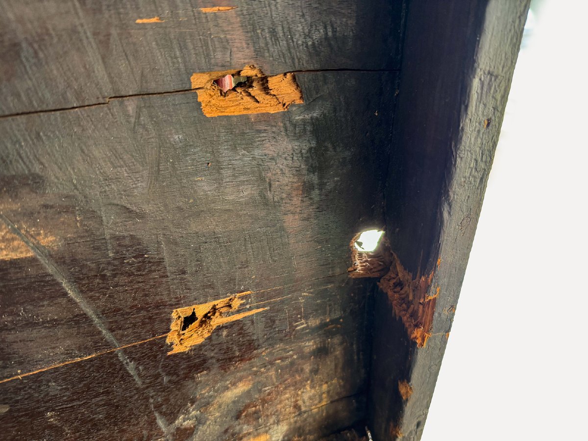 Baule forziere, in legno con inserti, Epoca '800-photo-6