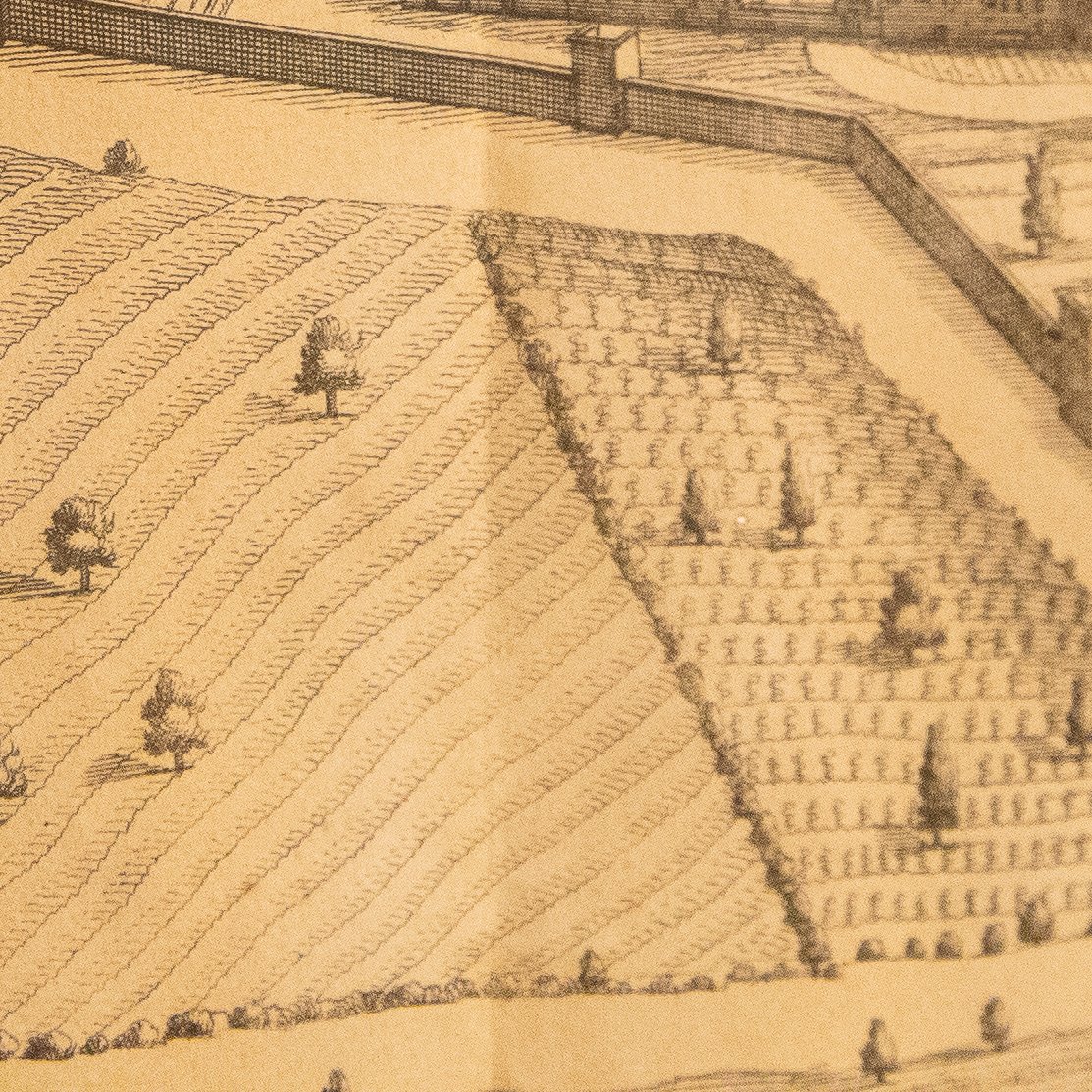 Veduta della città di Biella, "Bugella civitas (Biella)"edizione del 1725-photo-2