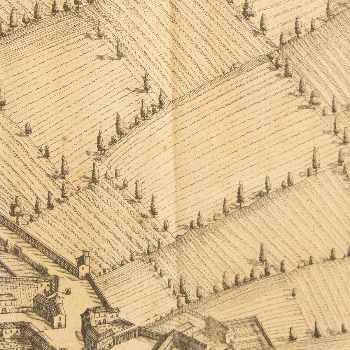 Veduta della città di Biella, "Bugella civitas (Biella)"edizione del 1725-photo-4