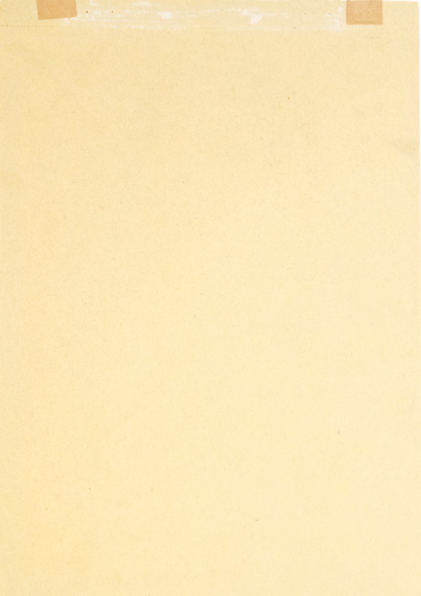 Filippo De Pisis, "Ritratto di giovane, Angelo",1941-photo-3