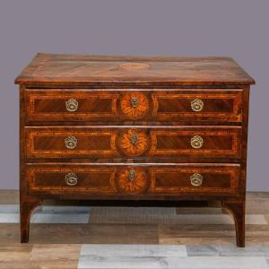 Cassettone piemontese Epoca XVIII secolo – Stile Luigi XVI