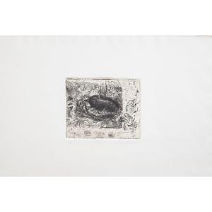 Luigi Bartolini "Scarabeo" acquaforte, Epoca '900