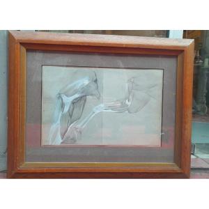 Enhanced And Framed Anatomical Drawing, Horse Leg, Maison-alfort Veterinary School, 1991