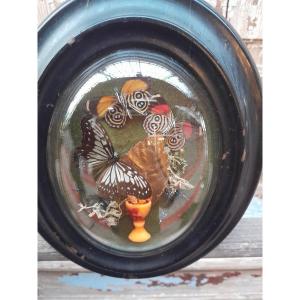 Decorative Entomological Frame, Napoleon III