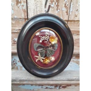 Decorative Entomological Frame, Napoleon III