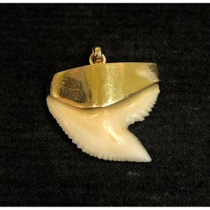 Gold Tooth Pendant 