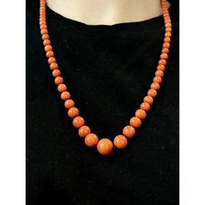 Coral Necklace 