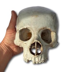 Memento Mori Skull In Gesso-coated Wood. Italy, 18th Century.