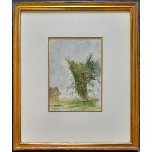 Landscape With Tree - Paul Belmondo