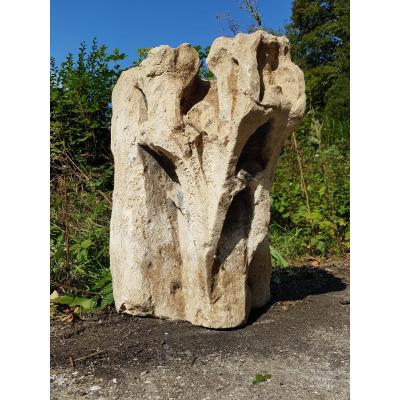 Gothic Capitals In Carved Stone Foliage