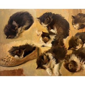 Alfredo Protti - Studi di gatti