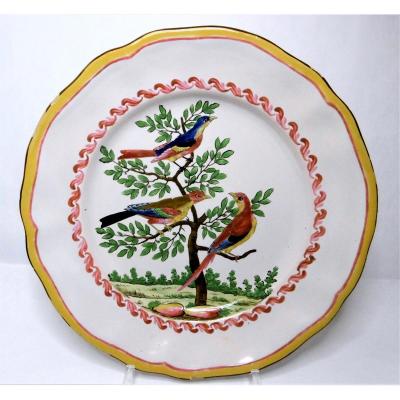 Faience des Islettes Periode Dupre Plat Aux Oiseaux Imaginaires d'Epoque XVIIIéme Siecle