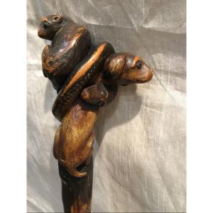 19th Century Carved Wood Cane: Dog, Snake And Weasel