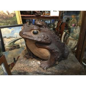 19th Century Japan - Large Terracotta Frog