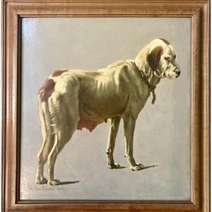 Eugène Verboeckhoven (1798-1881) Study Of A Dog
