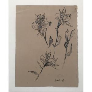 Georges Lemmen (1865-1916) Fleurs De Lys, Ink On Paper