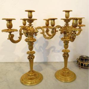 Pair Of 19th Century Bronze Candelabras, Adjustable Height 51 Cm