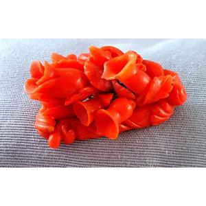 19th Century- Victorian Period  Coral Brooch 