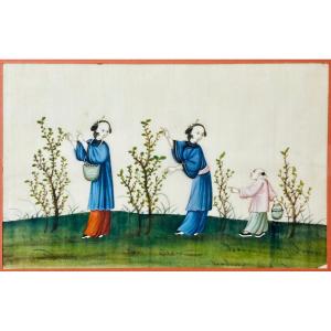 Four Pretty Canton Gouaches - Nineteenth Century