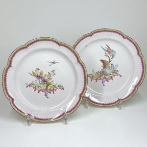 Aprey - Pair Of Bird Plates - Eighteenth Century