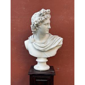 Important Plaster Bust After The Ancient Apollo Belvedere, Early 20th Century, H 80 Cm