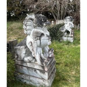 Important Pair Of Temple Guardian Foo Dogs, Marble Sculpture, 180 Cm High