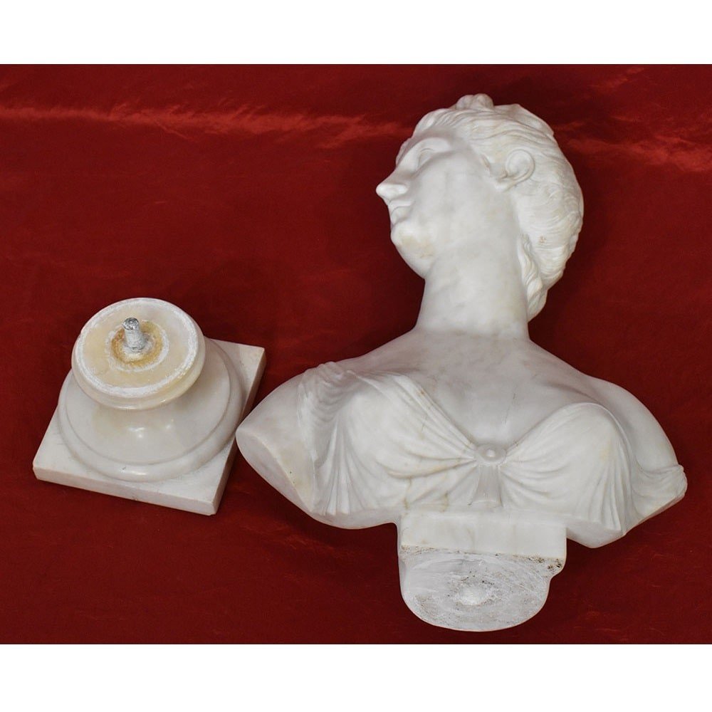 SCULTURE ANTICHE IN MARMO, SCULTURA ANTICA DI DONNA, DIANA, HUDON, EPOCA XIX SECOLO. (STMA76)-photo-5
