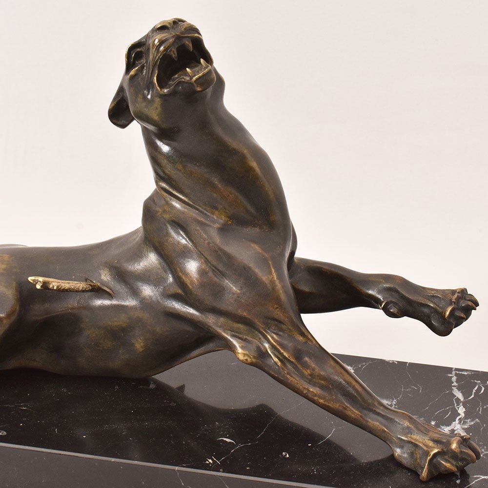 ANTICHE SCULTURE IN BRONZO, LEONESSA FERITA, CHARLES VALTON, SCULTORE FRANCESE, XIX. (STB96)-photo-4