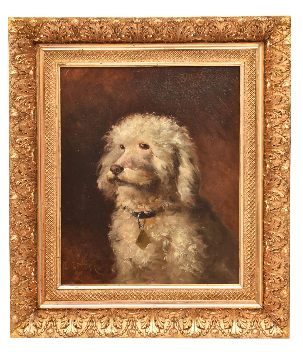 DIPINTI ANTICHI, RITRATTI DI CANI, BARBONCINO, OLIO SU TELA, EPOCA FINE OTTOCENTO.  (QA656)