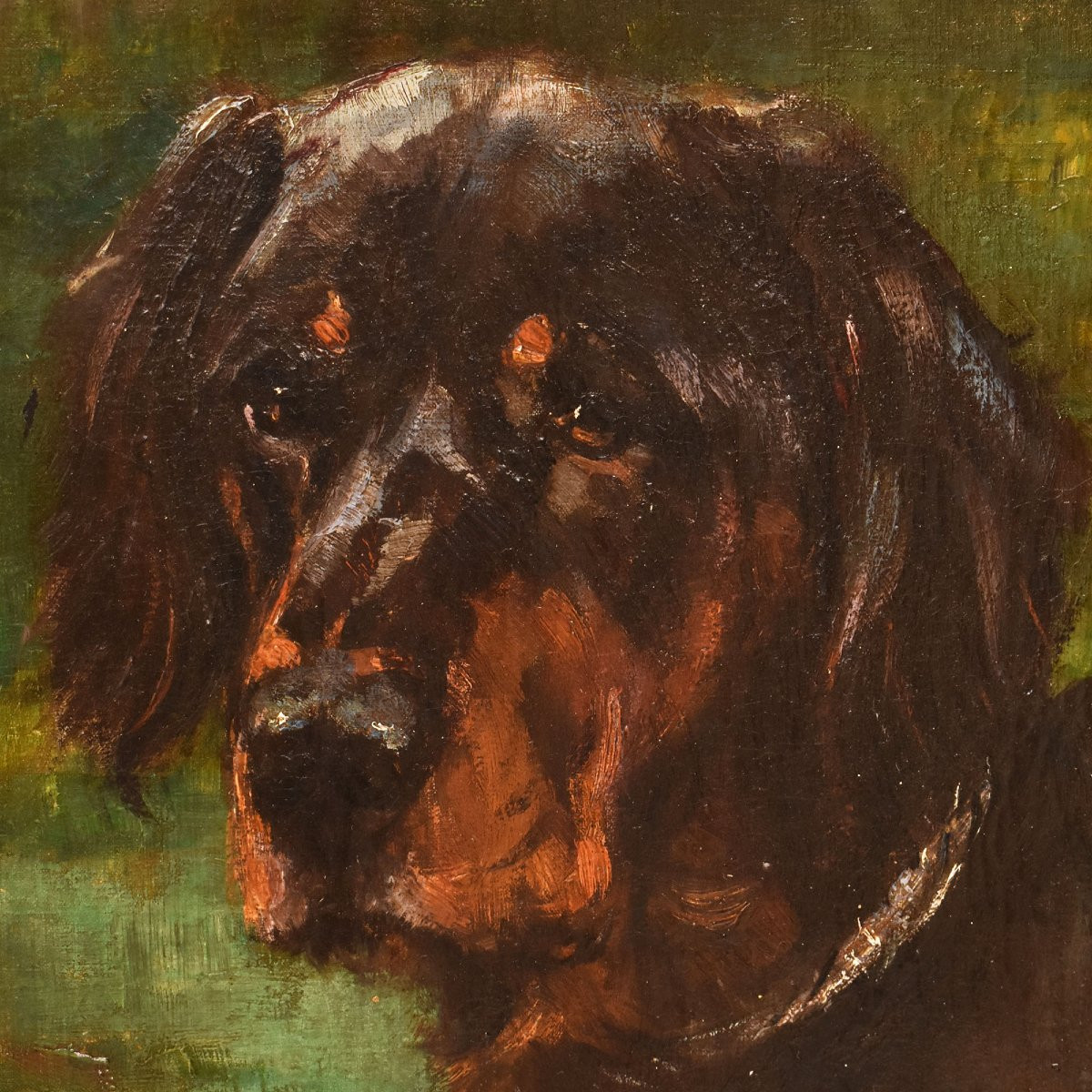 DIPINTI ANTICHI, RITRATTI DI CANI, SETTER GORDON, OLIO SU TELA, EPOCA OTTOCENTO. (QA660)(QA660)-photo-3