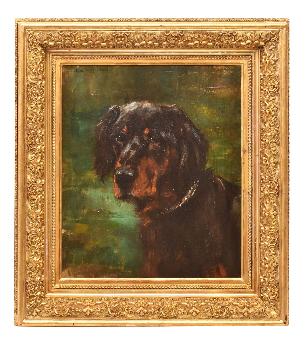 DIPINTI ANTICHI, RITRATTI DI CANI, SETTER GORDON, OLIO SU TELA, EPOCA OTTOCENTO. (QA660)(QA660)