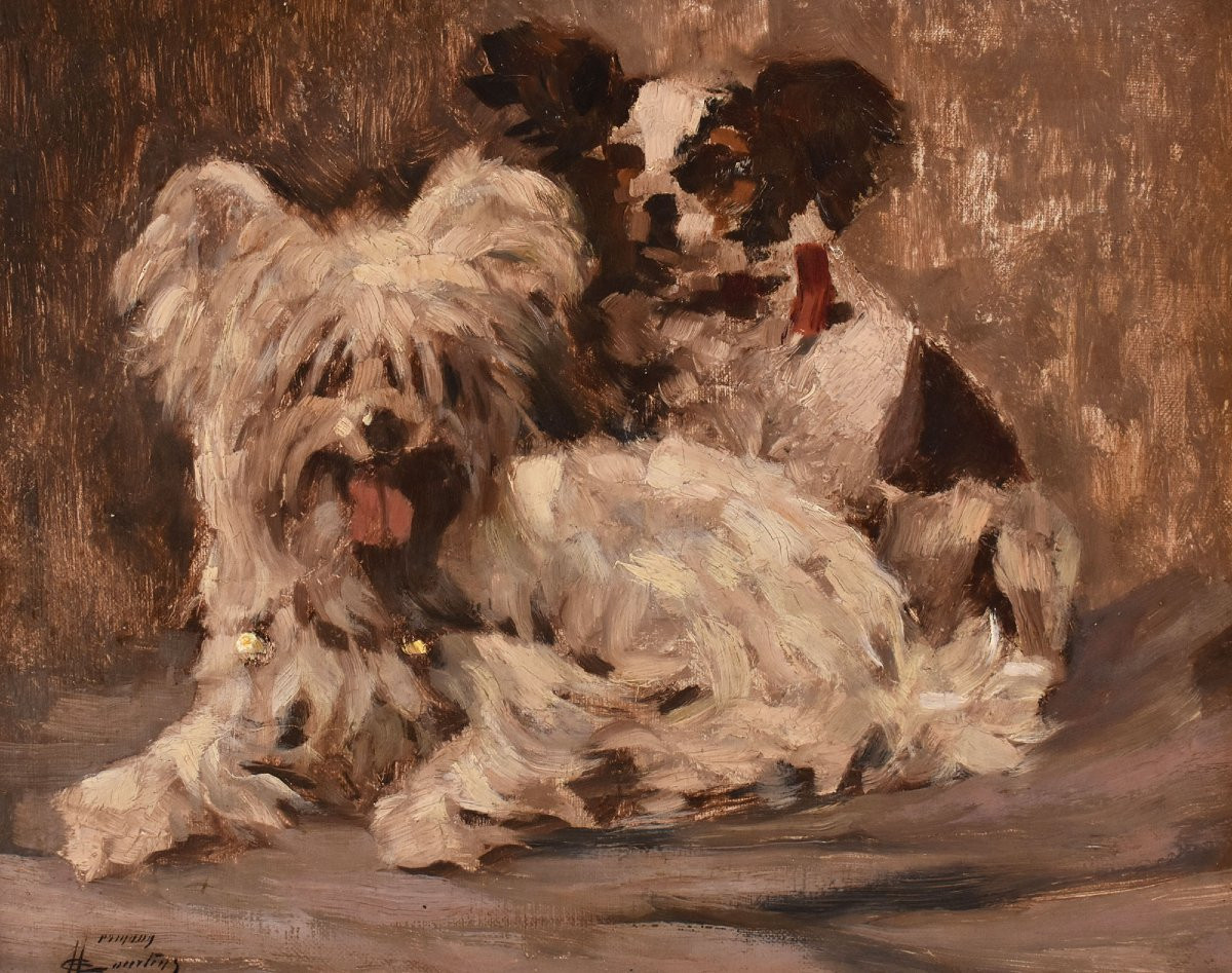 DIPINTI ANTICHI, RITRATTI DI CANI, MALTESE E SPANIEL, OLIO SU TELA,  PRIMI NOVECENTO. (QA714)-photo-3
