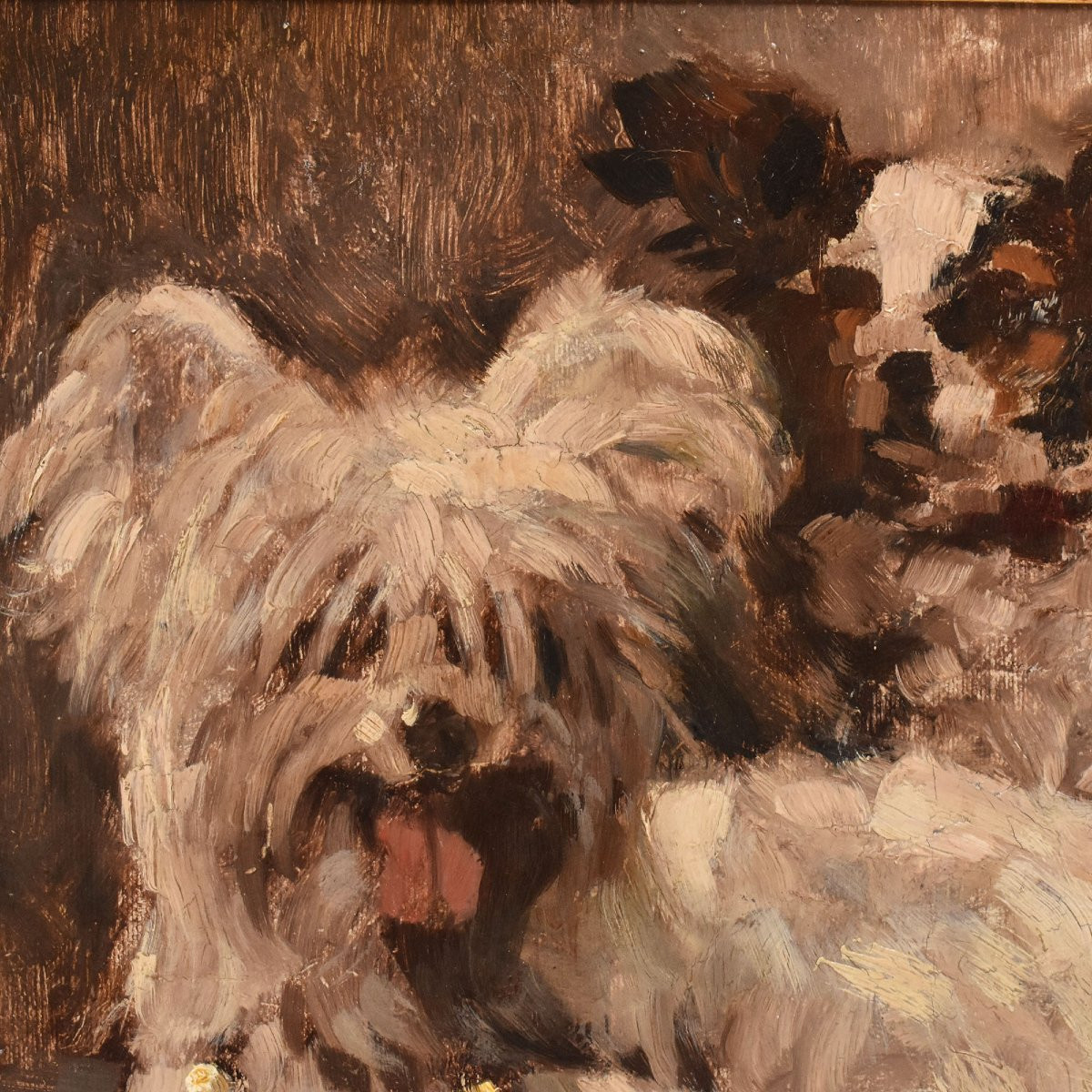 DIPINTI ANTICHI, RITRATTI DI CANI, MALTESE E SPANIEL, OLIO SU TELA,  PRIMI NOVECENTO. (QA714)-photo-4