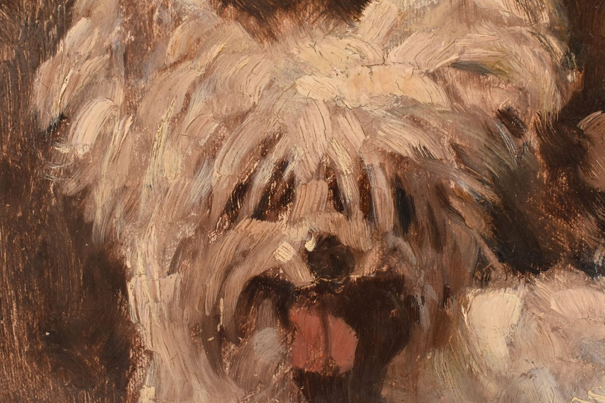 DIPINTI ANTICHI, RITRATTI DI CANI, MALTESE E SPANIEL, OLIO SU TELA,  PRIMI NOVECENTO. (QA714)-photo-3