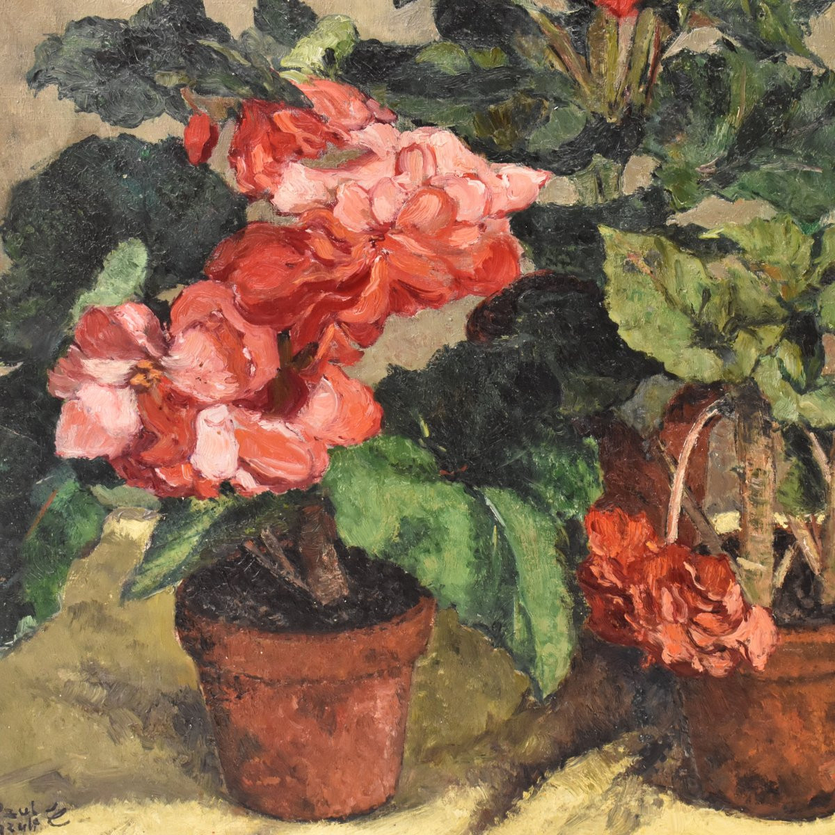 QUADRI ANTICHI, NATURA MORTA CON FIORI, GERANI E BEGONIE, OLIO SU TELA, XX SECOLO. (QF737)-photo-4