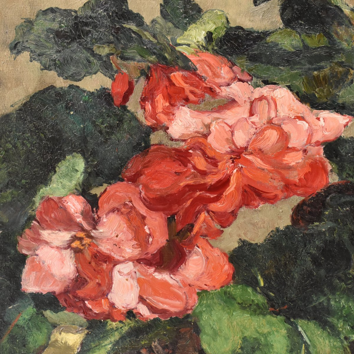 QUADRI ANTICHI, NATURA MORTA CON FIORI, GERANI E BEGONIE, OLIO SU TELA, XX SECOLO. (QF737)-photo-1