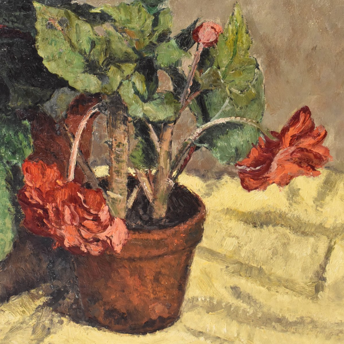 QUADRI ANTICHI, NATURA MORTA CON FIORI, GERANI E BEGONIE, OLIO SU TELA, XX SECOLO. (QF737)-photo-2